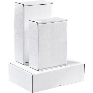 Rectangular cardboard box in white color, 34.2 x 25.0 x 10.5 cm, CPV003M-W