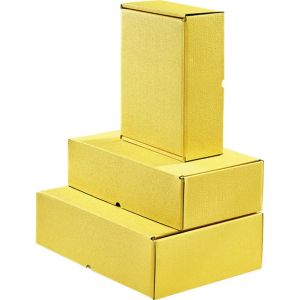 Rectangular cardboard box in yellow color, 34.2 x 25.0 x 10.5 cm, CPV006M-Y